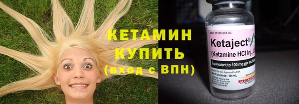 хмурый Сосновый Бор