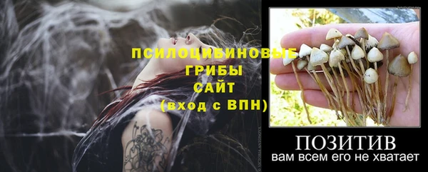 винт Нязепетровск