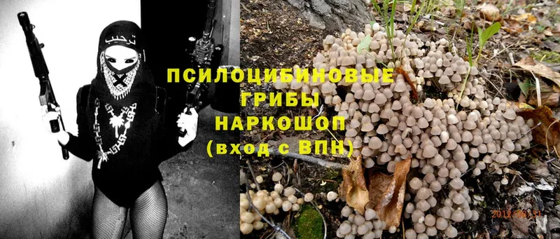 Галлюциногенные грибы ЛСД  Адыгейск 