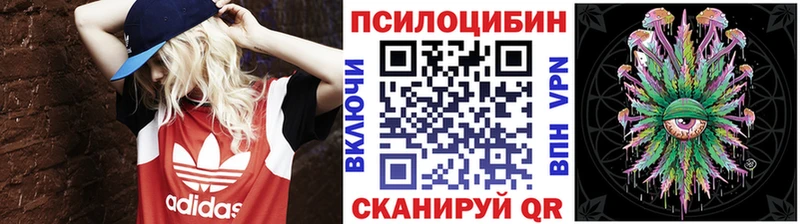 Псилоцибиновые грибы Psilocybine cubensis  Адыгейск 